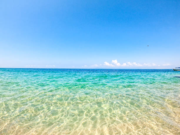 投稿についてもっと詳しく 隠れた楽園の一つ、Mekaki Beach